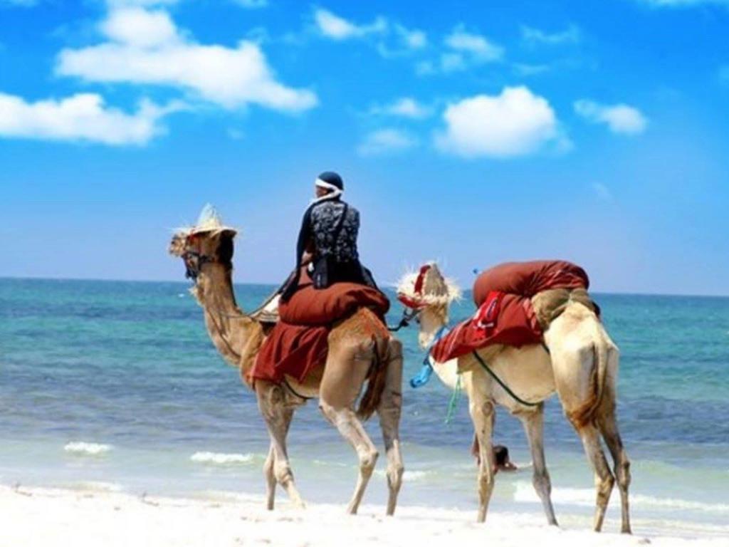 Dar Rachid Daire Asilah Dış mekan fotoğraf